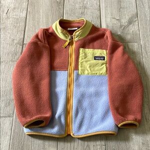 Kids Patagonia Color Block Fleece Hoodie